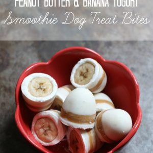 Peanut-Butter-Dog-Treat-Recipe